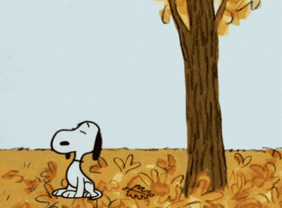 Snoopy Looking Up At Tree GIF