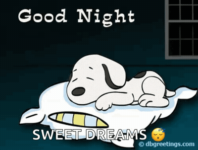 Snoopy Lying On Pillow Good Night GIF