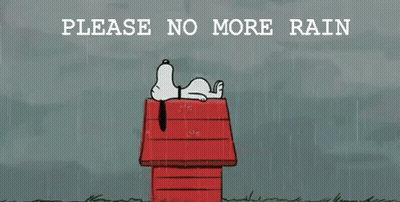 Snoopy Lying On Red House In Rain GIF