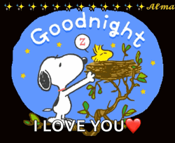 Snoopy Nighty Night I Love You GIF
