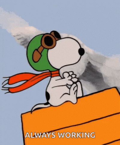 Snoopy On Box With Helmet And Goggles Always Working GIF