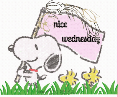 Snoopy Reading Book Saying Nice Wednesday