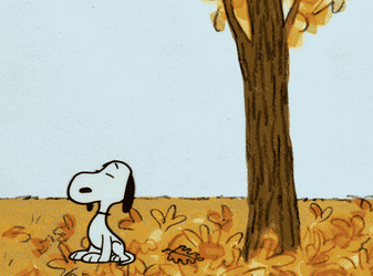Snoopy Saturday Blowing Leaf GIF