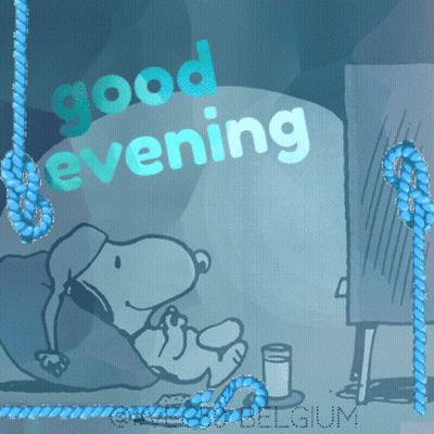 Snoopy Saying Good Evening GIF