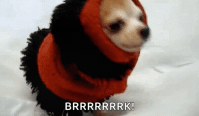 Snoopy Sitting On Snow Pile With Star On Head GIF