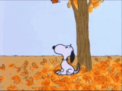 Snoopy Sitting Under Tree In Leaves GIF