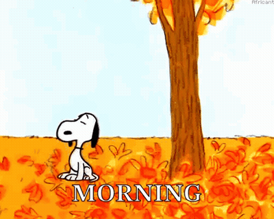 Snoopy Sitting Under Tree In Leaves Saying Morning GIF