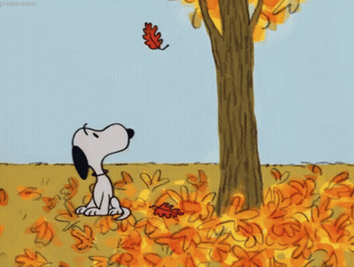 Snoopy Sitting Under Tree With Falling Leaves GIF