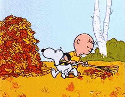 Snoopy Sitting Under Tree With Falling Leaves GIF