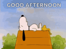 Snoopy Snoring Buenas Tardes Nap GIF