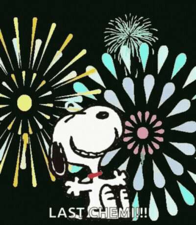 Snoopy Standing At Fireworks Saying Last Chemi GIF