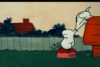 Snoopy Standing In Front Of House GIF