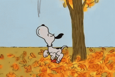 Snoopy Standing In Pile Of Leaves Beside Tree GIF