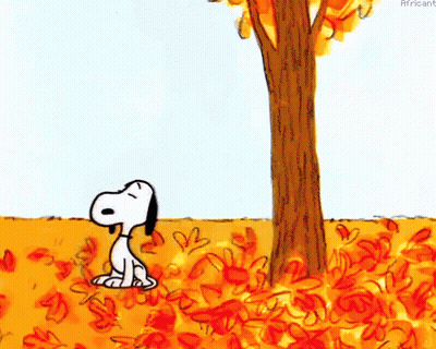 Snoopy Standing In Pile Of Leaves Under Tree GIF