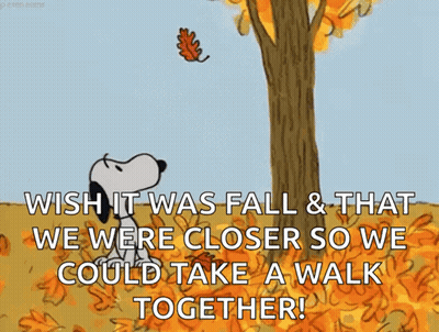 Snoopy Standing Under Tree With Falling Leaves GIF