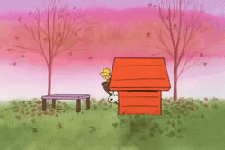 Snoopy Thanksgiving Set Up Time  GIF