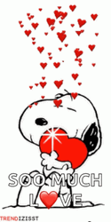 Snoopy Valentines Day Love You So Much Card  GIF
