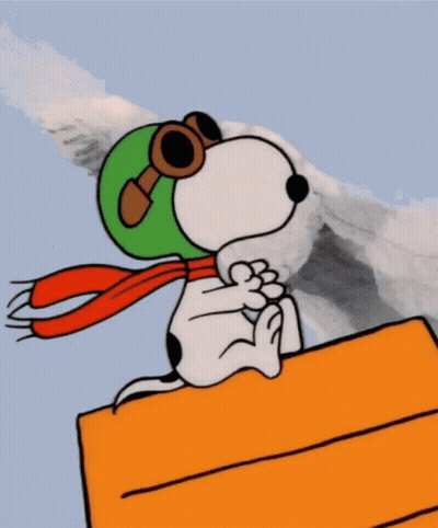 Snoopy Wearing Green Hat And Scarf GIF