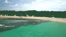 Snorkeling Catherine Bell Fiji GIF