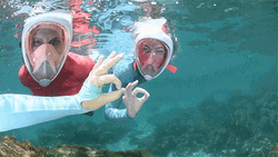 Snorkeling Couple Okay GIF