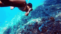 Snorkeling Swimming GIrl GIF