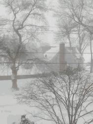 Snow Blizzard Whiteout Country Homes GIF