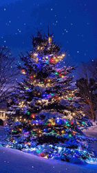 Snow Blue Christmas Lights
