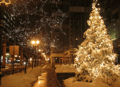 Snow Covered Christmas Tree In Front Of Building GIF