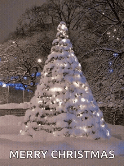 Snow Covered Christmas Tree Merry Christmas GIF