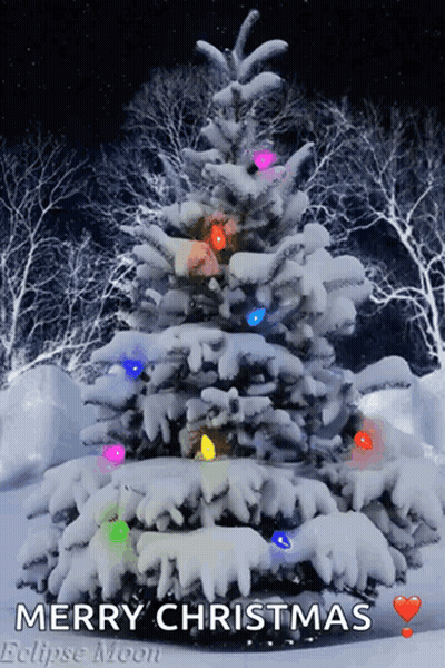Snow Covered Christmas Tree With Lights Saying Merry Christmas Eclipse Moon GIF
