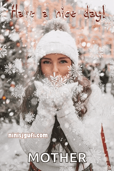 Snow Covered Trees 26 Degrees This Morning GIF