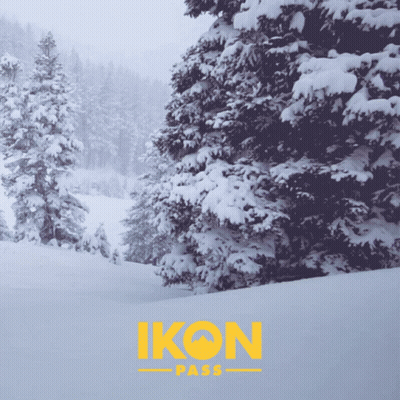 Snow Covered Trees With Ikon Pass In Yellow GIF