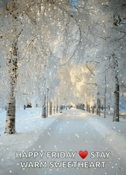 Snow Fall Ice Snowy Saturday GIF