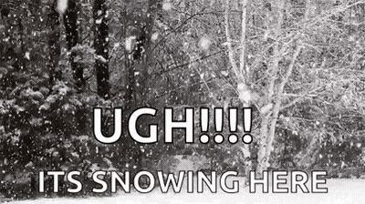 Snow Falling In Forest Ugh It's Snowing GIF