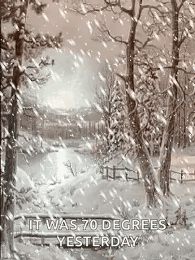 Snow In Woods Despite 70 Degrees GIF