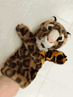 Snow Leopard GIF