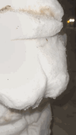 Snow Mewing Meme GIF