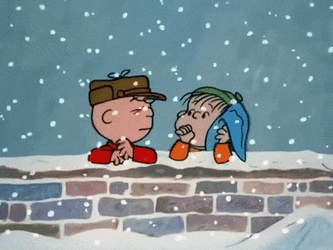 Snow Snow Day GIF