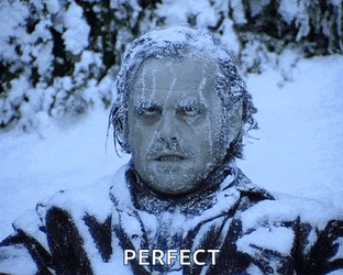 Snow Snow Day GIF