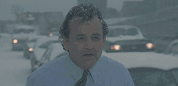 Snow Storm Freezing Bill Murray GIF
