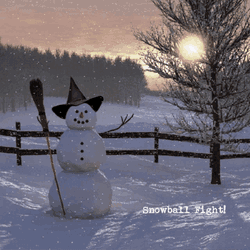 Snowball Fight GIF