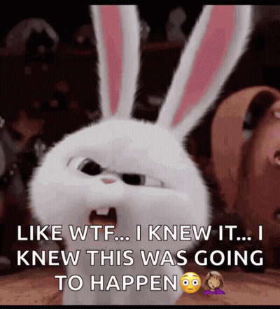 Snowball From The Secret Life Of Pets Saying Like WTF GIF