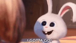 Snowball I Gotta Go GIF