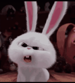 Snowball Iconic Confused What Did He Say GIF