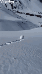 Snowball Rolling Winter Weather  GIF
