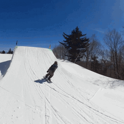 Snowboarding Trick Spin Backflip GIF