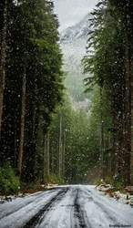 Snowflake Falling On The Road GIF