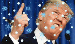 Snowflake On Trump GIF