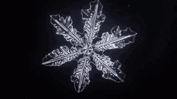 Snowflake Rotating In The Dark GIF
