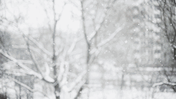 Snowing Enormously At The Park GIF